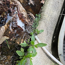 Quality-Heat-Pump-Repair-Halted-the-Continued-Flooding-of-a-Basement-in-Kingsport-TN 9