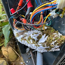 Thorough-Heat-Pump-Repair-in-Unicoi-TN-Got-This-Customer-Operational-Again-After-Rodents-Chewed-Up-His-Heat-Pump-Wiring 1